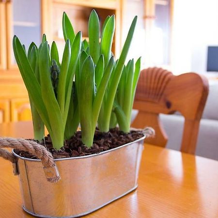 Apartamento Los Narcisos Чулилья Экстерьер фото