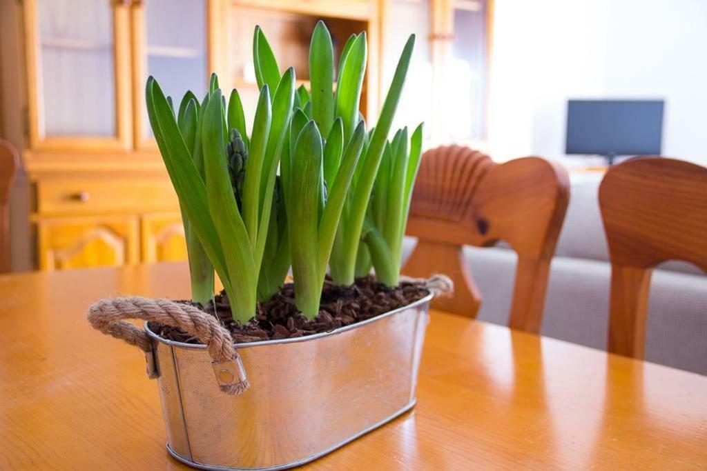 Apartamento Los Narcisos Чулилья Экстерьер фото