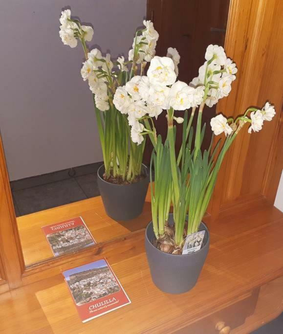 Apartamento Los Narcisos Чулилья Экстерьер фото